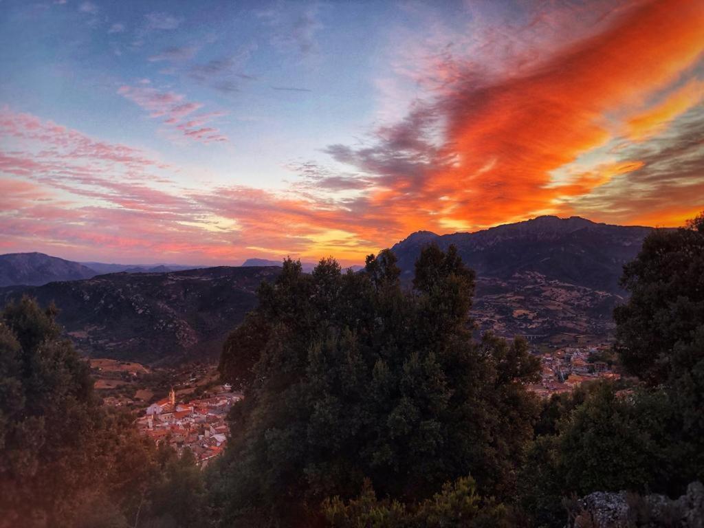 Orgosolo B&B Sardegna Екстер'єр фото