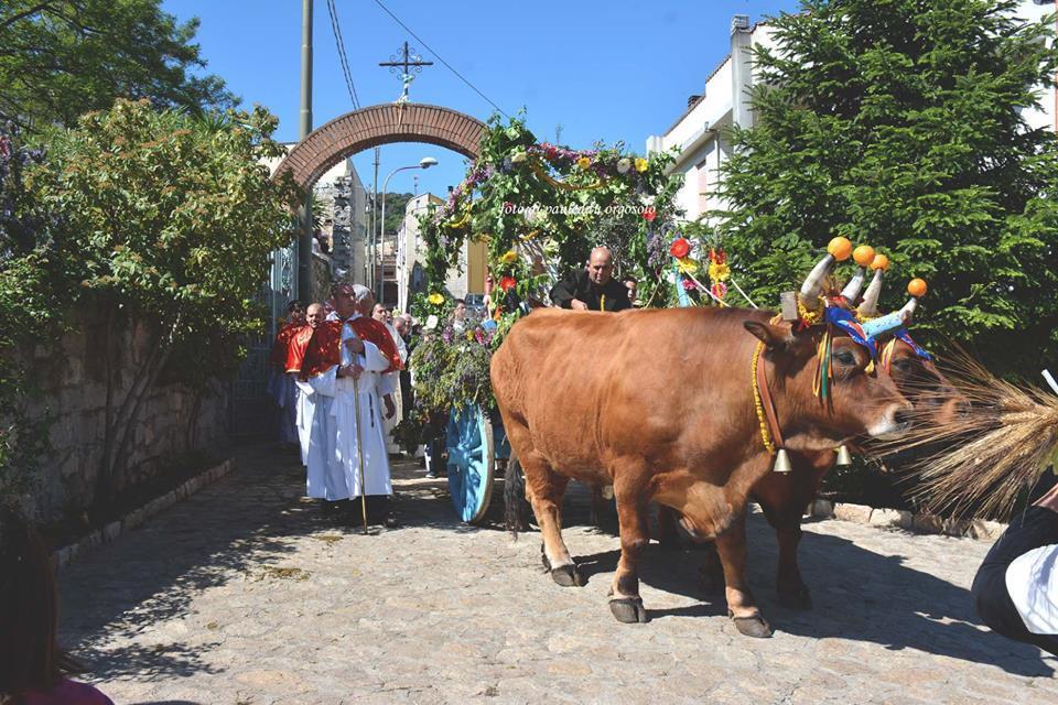 Orgosolo B&B Sardegna Екстер'єр фото